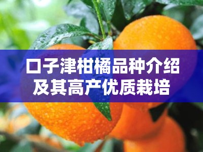 口子津柑橘品种介绍及其高产优质栽培技术要点解析
