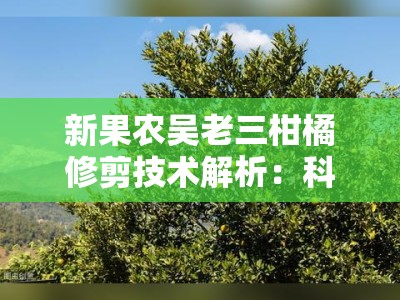 新果农吴老三柑橘修剪技术解析：科学管理助力果园提质增效