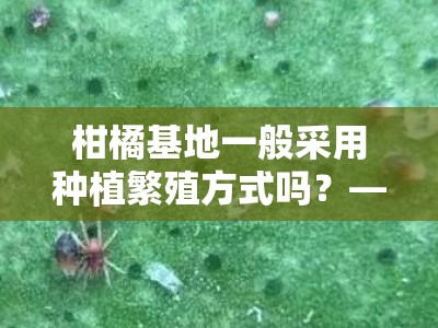 柑橘基地一般采用种植繁殖方式吗？——常见技术模式与选址因素解析