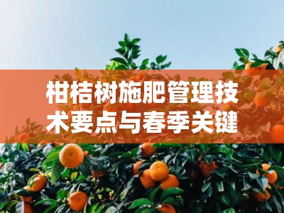 柑桔树施肥管理技术要点与春季关键操作指南