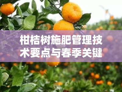 柑桔树施肥管理技术要点与春季关键操作指南