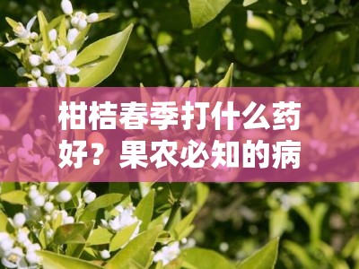 柑桔春季打什么药好？果农必知的病虫害防治药剂指南