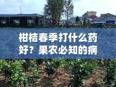 柑桔春季打什么药好？果农必知的病虫害防治药剂指南