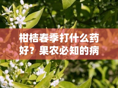 柑桔春季打什么药好？果农必知的病虫害防治药剂指南