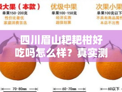 四川眉山耙耙柑好吃吗怎么样？真实测评带你解锁果香与口感之谜！