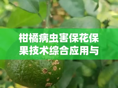 柑橘病虫害保花保果技术综合应用与高效管理策略