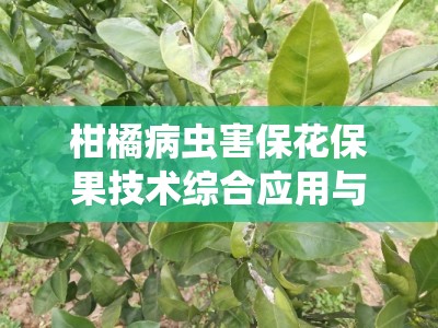 柑橘病虫害保花保果技术综合应用与高效管理策略