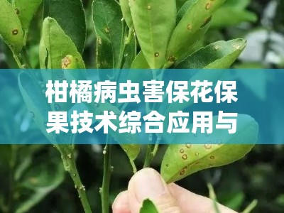 柑橘病虫害保花保果技术综合应用与高效管理策略