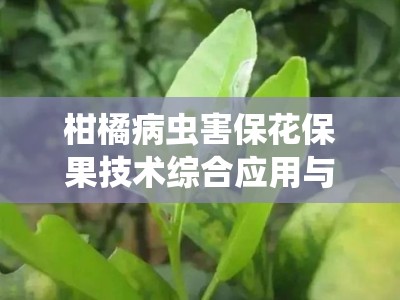 柑橘病虫害保花保果技术综合应用与高效管理策略