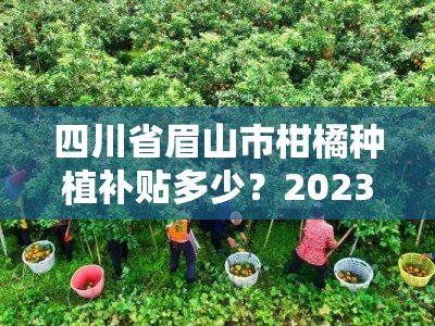 四川省眉山市柑橘种植补贴多少？2023年最新政策标准及申请条件详解