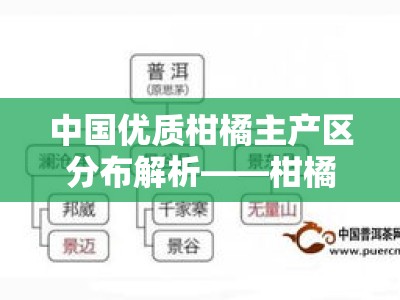 中国优质柑橘主产区分布解析——柑橘产地在哪一目了然