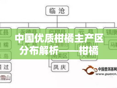 中国优质柑橘主产区分布解析——柑橘产地在哪一目了然