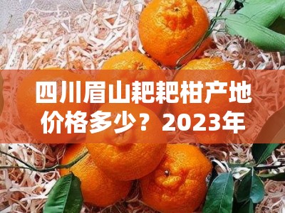 四川眉山耙耙柑产地价格多少？2023年果农直销最新行情解析
