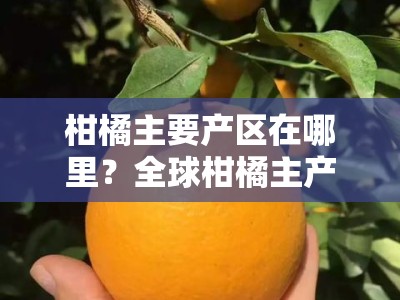 柑橘主要产区在哪里？全球柑橘主产区分布及特点解析
