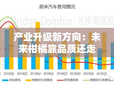 产业升级新方向：未来柑橘靠品质还走量双轮驱动发展