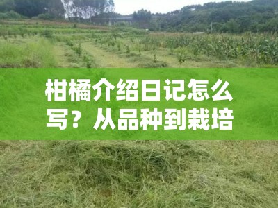 柑橘介绍日记怎么写？从品种到栽培的详细记录指南