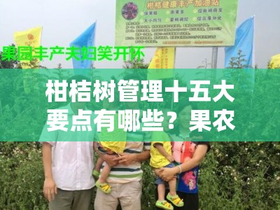 柑桔树管理十五大要点有哪些？果农必看的高产栽培技术全解析