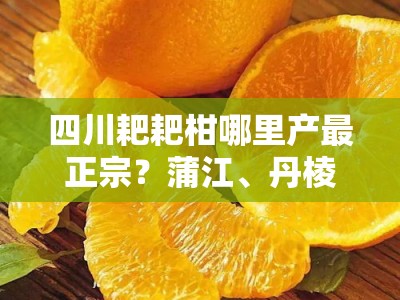 四川耙耙柑哪里产最正宗？蒲江、丹棱产地对比及口感评测指南