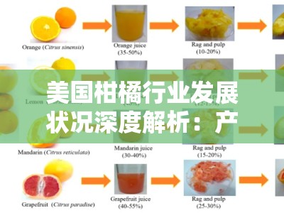 美国柑橘行业发展状况深度解析：产业链现状与市场前景展望
