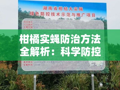 柑橘实蝇防治方法全解析：科学防控与果园管理实践