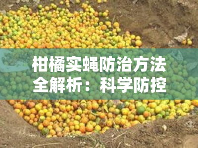 柑橘实蝇防治方法全解析：科学防控与果园管理实践