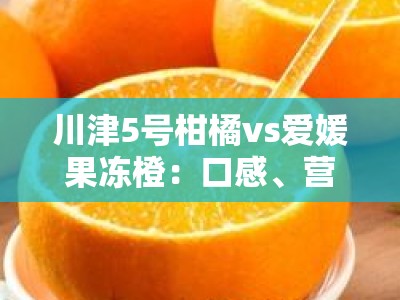 川津5号柑橘vs爱媛果冻橙：口感、营养与市场价值的全方位对比分析