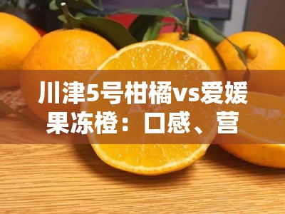 川津5号柑橘vs爱媛果冻橙：口感、营养与市场价值的全方位对比分析