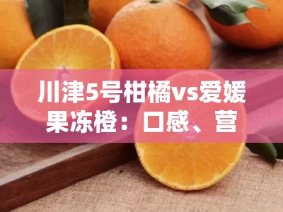川津5号柑橘vs爱媛果冻橙：口感、营养与市场价值的全方位对比分析