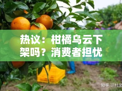 热议：柑橘乌云下架吗？消费者担忧与品牌回应深度解析