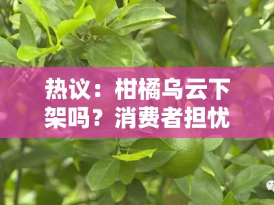 热议：柑橘乌云下架吗？消费者担忧与品牌回应深度解析