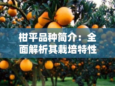 柑平品种简介：全面解析其栽培特性与市场价值优势