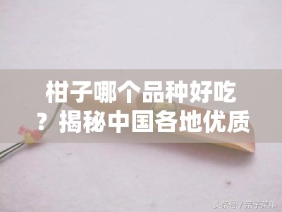柑子哪个品种好吃？揭秘中国各地优质柑种的口感差异与甜度排行榜