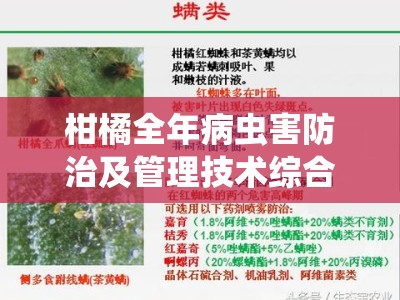 柑橘全年病虫害防治及管理技术综合防控指南