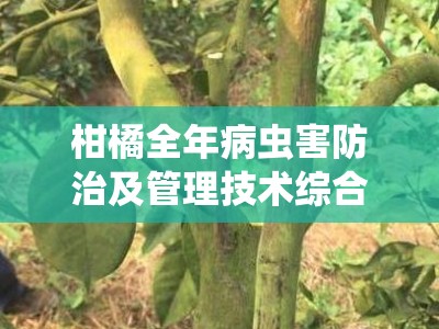 柑橘全年病虫害防治及管理技术综合防控指南