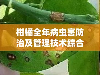 柑橘全年病虫害防治及管理技术综合防控指南