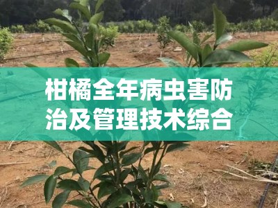 柑橘全年病虫害防治及管理技术综合防控指南