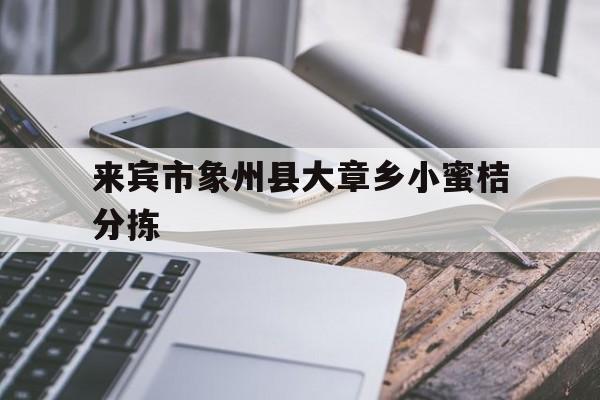 来宾市象州县大章乡小蜜桔分拣(来宾市兴宾区团委书记覃怡群简介)